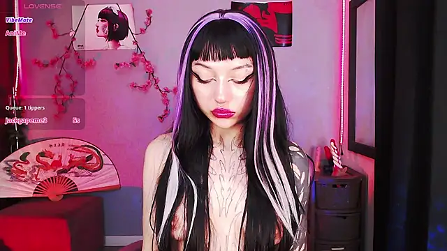 catipetite online show from 02/14/26, 05:29