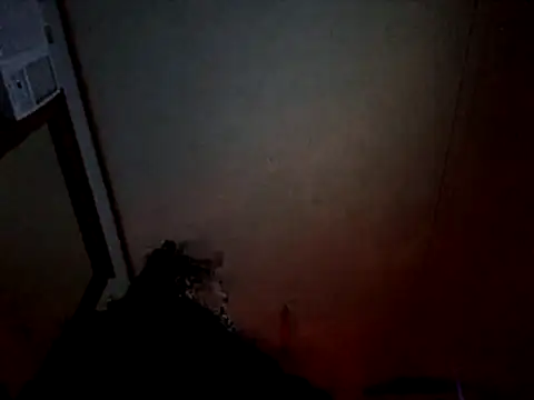 Snapshot of Off_the_Lesh chatting on 07/08/26, 04:07 Off the Lesh online show from 07/08/26, 04:07