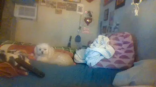 hornyrich69 online show from 12/22/24, 07:54