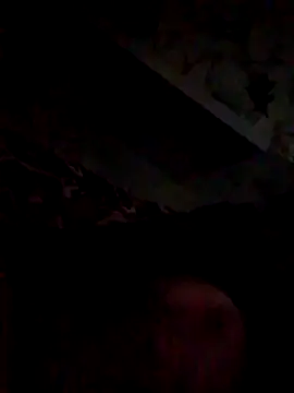 Jefrey1113 online show from 03/25/26, 11:25