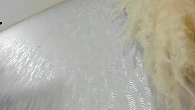 Lissalittlee online show from 10/22/25, 07:57