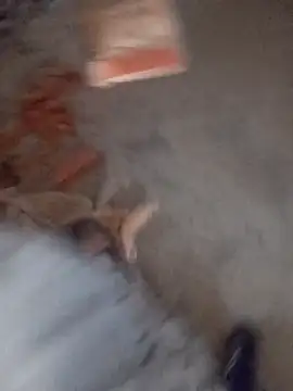 Kurtsikicixh online show from 11/05/25, 02:53