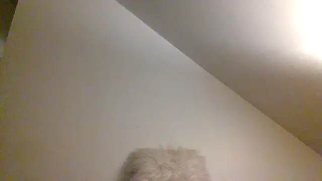 Snapshot of AllLeggs chatting on 12/09/24, 07:39 AllLeggs online show from 12/09/24, 07:39