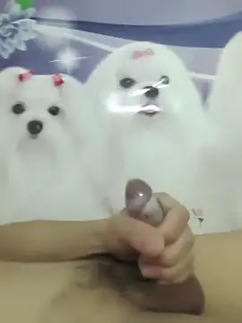 Snapshot of 826687 chatting on 03/02/26, 01:40 826687 online show from 03/02/26, 01:40