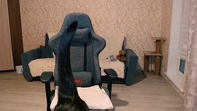 PDiddy  online show from 02/15/25, 07:50