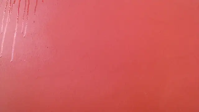 Freyja eter online show from 10/17/25, 02:19