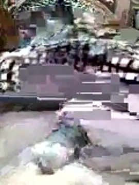 AHMED0233 online show from 04/13/26, 12:14