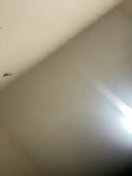 Malandralle online show from 02/21/26, 12:01