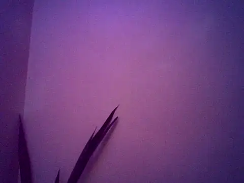 Malandralle online show from 11/25/25, 05:30