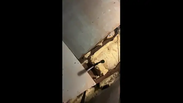 Manwhorxxlcock online show from 03/03/26, 10:33