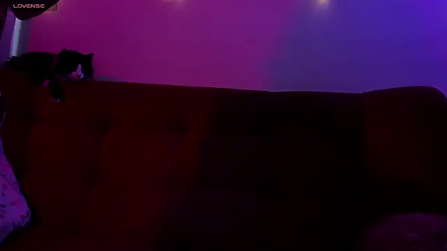 ohpetitemuse online show from 11/19/25, 03:23