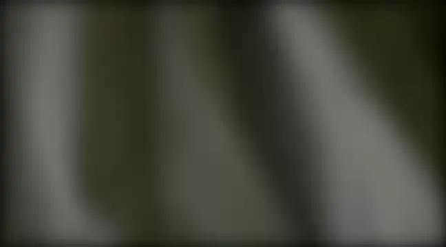 Snapshot of YoungHairyBi chatting on 02/28/25, 08:42 YoungHairyBi online show from 02/28/25, 08:42