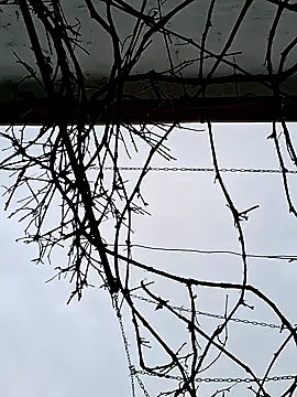 SexyNicool35 online show from 04/09/26, 05:42