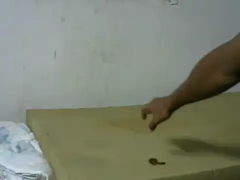 michel sc online show from 10/08/25, 05:42