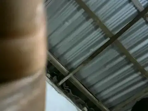 michel sc online show from 03/11/25, 08:08