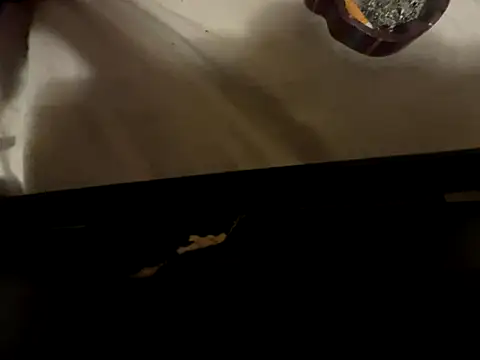 FreakNastyLacie online show from 12/16/25, 05:00