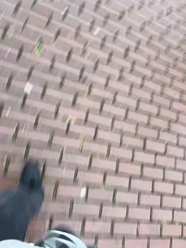 Snapshot of 0maxx00 chatting on 12/19/24, 02:13 0maxx00 online show from 12/19/24, 02:13