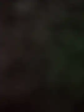 Snapshot of Samarth_0081 chatting on 09/17/25, 02:30 Samarth 0081 online show from 09/17/25, 02:30
