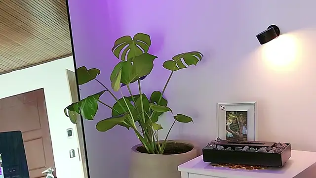 ABY509 online show from 03/20/26, 12:44