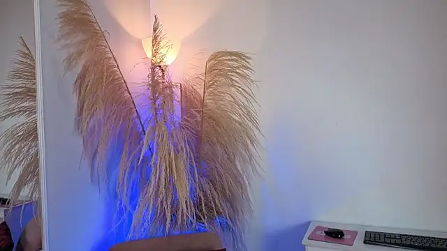 Elecktra sweet online show from 06/24/26, 07:33