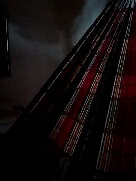 PIKAdePAU27 online show from 12/24/24, 08:33