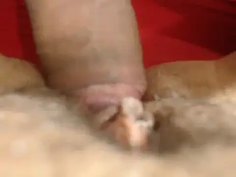 lolamike19 online show from 11/18/25, 10:29