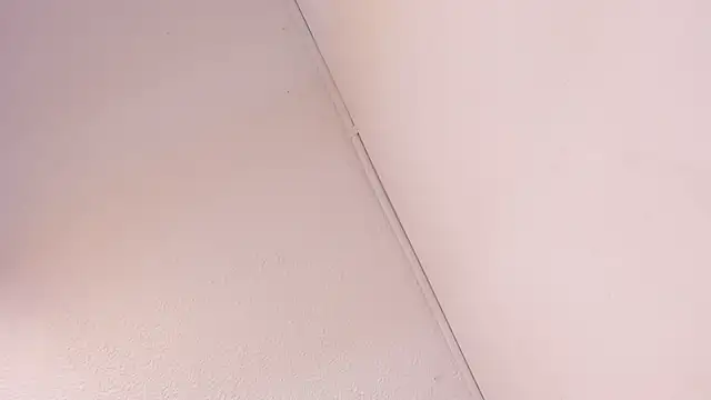 Black Rose2 online show from 03/01/26, 11:43