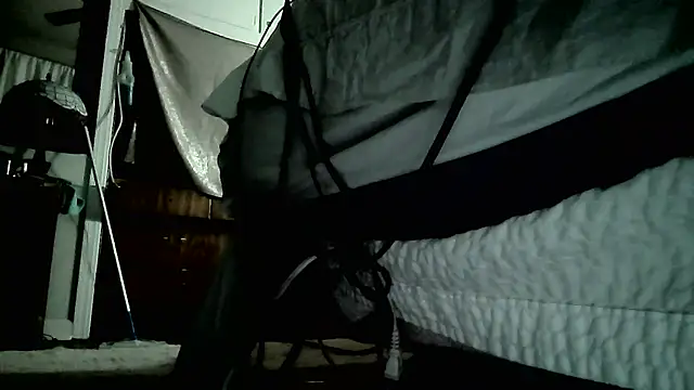 paiday online show from 12/26/24, 10:09