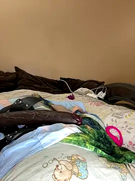 vika2323 online show from 11/08/25, 05:38