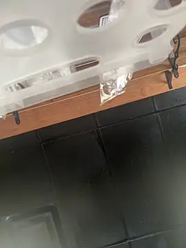 lairarose online show from 10/24/25, 04:17