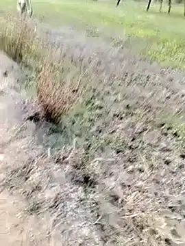 anjutandan499 online show from 04/21/26, 12:23