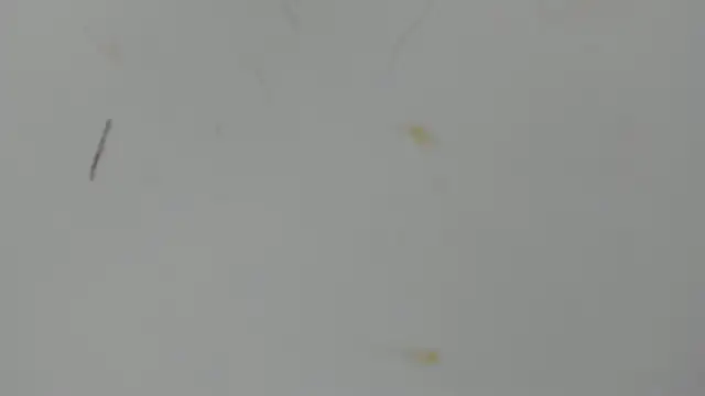 Snapshot of Antonellanospik_ chatting on 03/16/25, 03:25 Antonellanospik online show from 03/16/25, 03:25