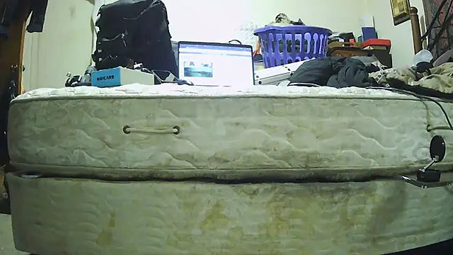 Snapshot of pipeload1275 chatting on 11/30/25, 05:30 pipeload1275 online show from 11/30/25, 05:30