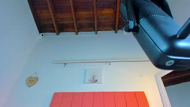 Snapshot of valen_rose0 chatting on 11/02/25, 12:10 valen rose0 online show from 11/02/25, 12:10