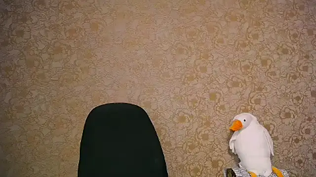  your fantasy girl online show from 02/27/25, 11:28