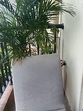 Pretty Isadora online show from 03/04/26, 04:59