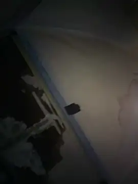 joeycbigcock online show from 04/09/26, 01:07