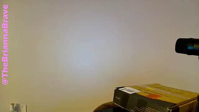 BriannaBrave online show from 02/11/26, 07:36