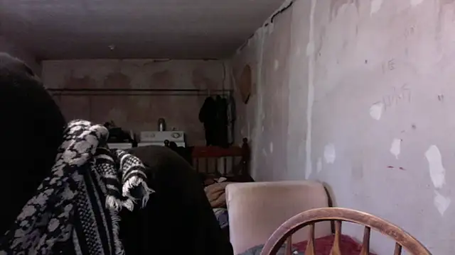 LoretoMx online show from 11/20/25, 08:53