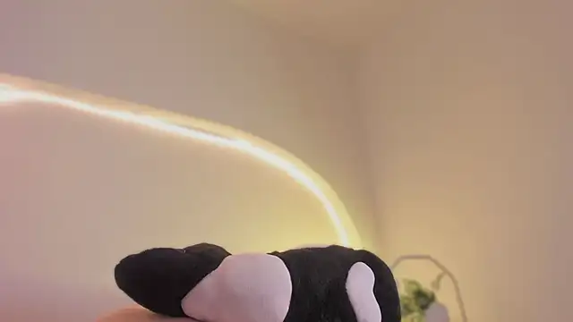 katiepeach  online show from 03/12/26, 03:12