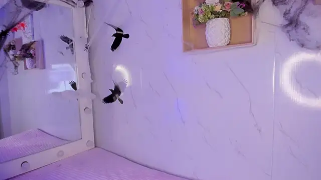 sabrinahimss online show from 10/29/25, 04:33