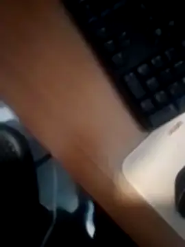 betinhodelas online show from 12/26/24, 02:16