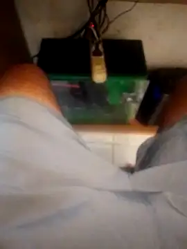 betinhodelas online show from 10/18/25, 05:15