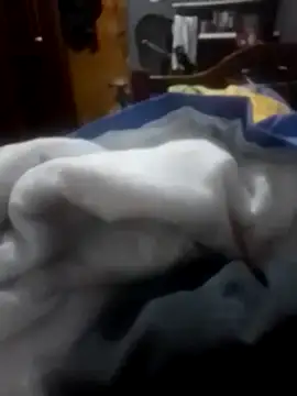 betinhodelas online show from 02/03/26, 12:10