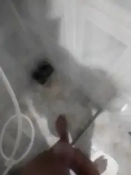 betinhodelas online show from 11/30/25, 05:08