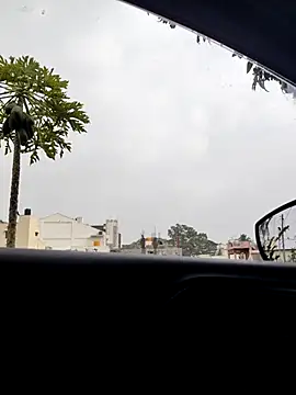 KingCobraClassy online show from 01/06/26, 10:08