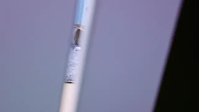 HaruruHappy online show from 01/18/25, 01:29