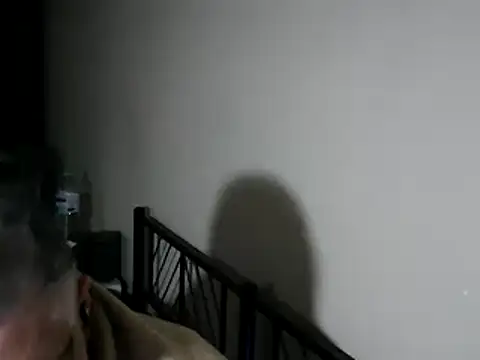 Snapshot of 100Tauros chatting on 11/29/25, 11:27 100Tauros online show from 11/29/25, 11:27