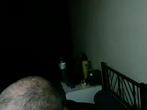 100Tauros online show from 03/26/26, 10:51