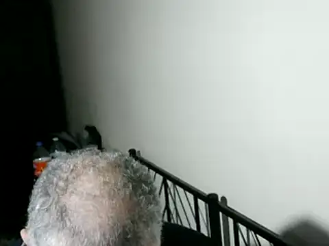 100Tauros online show from 02/11/26, 10:53